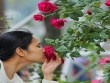 Mặc chê bai, người yêu hoa vẫn mê mẩn với trăm loại hoa ở lễ hội hoa hồng