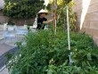 "Búp bê" Thanh Thảo đội nón lá, giản dị làm vườn trong biệt thự hạng sang tại Mỹ