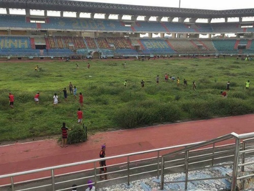 Cỏ mọc sân bóng trăm tỷ ở Ninh Bình như cánh đồng chăn bò