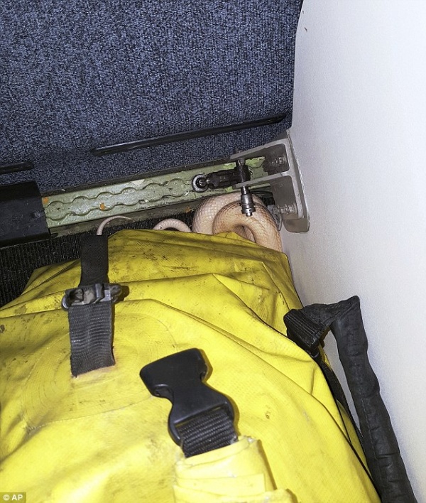 Mỹ: Trăn thoát khỏi túi trên máy bay, hành khách hoảng sợ