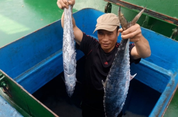 Ngư dân Hà Tĩnh trúng đậm mẻ cá thu giá gần 400 triệu đồng