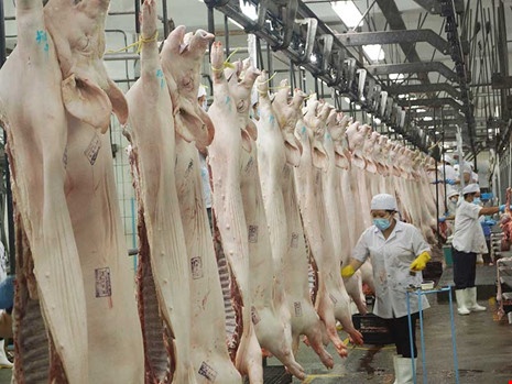 Cấm nhập khẩu để giải cứu thịt heo: Nên không?