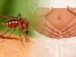 TP.HCM ghi nhận 51 thai phụ nhiễm virus Zika