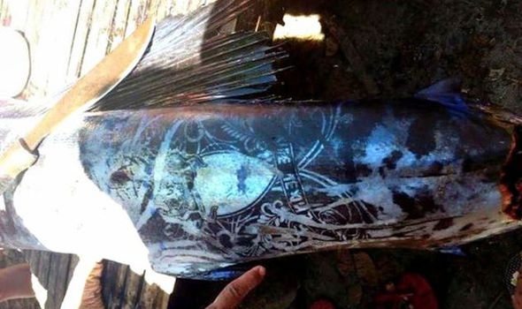 Philippines: Bắt được loài cá xăm kín thân hết sức kỳ lạ