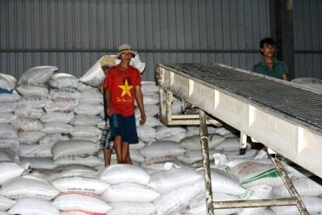 Gạo Việt có hợp đồng "khủng" 1 triệu tấn/năm