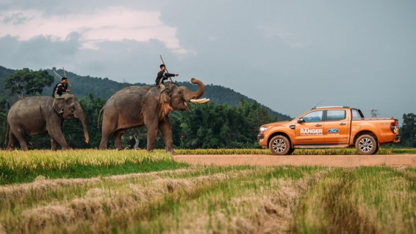 Ford Ranger ở Việt Nam thêm bản mới giá 866 triệu đồng