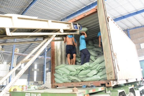 Trung Quốc "ăn" gần 50% lượng gạo Việt Nam