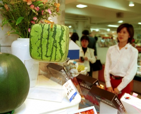 Trái cây độc lạ giá hàng chục nghìn USD hút khách