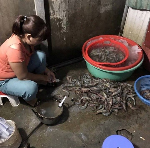 Hà Nội: Bắt quả tang bơm tạp chất vào tôm tại chợ đầu mối