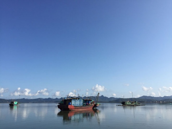 Gần Hà Nội có một "hoang đảo Robinson" tuyệt đẹp và bình yên đến lạ