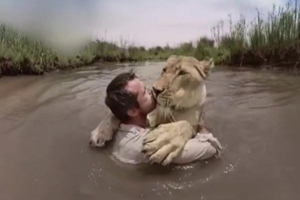 Sư tử trên bờ "vồ" người đàn ông giữa sông và diễn biến không ngờ