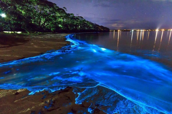 Tròn mắt trước bờ biển phát sáng ảo diệu tại quốc đảo Maldives