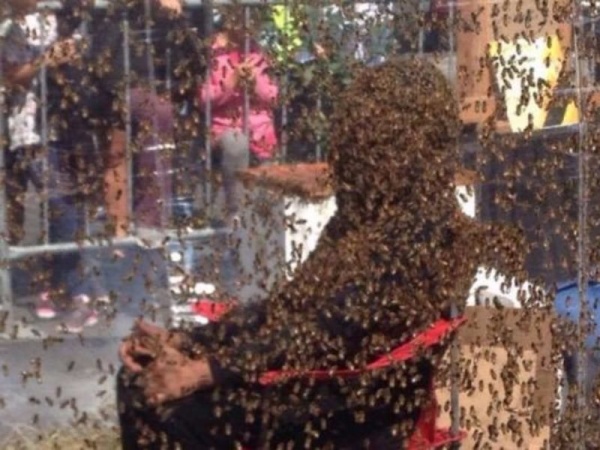 Lập kỷ lục để 100.000 ngàn con ong bu kín người