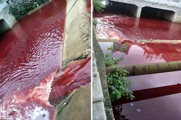 Dòng sông bất ngờ nhuộm đỏ máu tại thành phố Trung Quốc