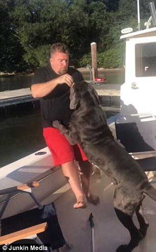 Chó khổng lồ “ngứa mắt” đẩy chủ xuống hồ bơi