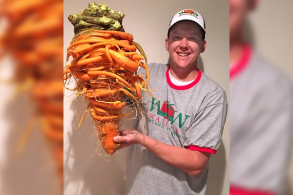 Củ cà rốt khổng lồ quái dị nặng nhất thế giới