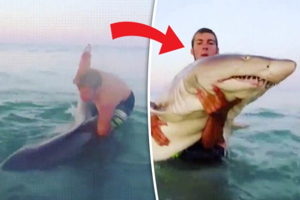 Video: Người đàn ông bạo gan bế thốc cá mập khủng trên biển
