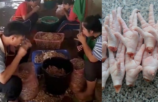 Sốc: Dùng miệng người làm "máy" rút xương chân gà ở Thái Lan