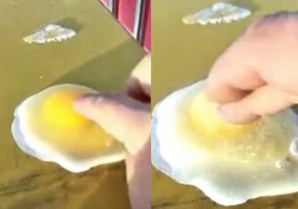 Video: Đập trứng ra, biến thành cục băng trong phút chốc