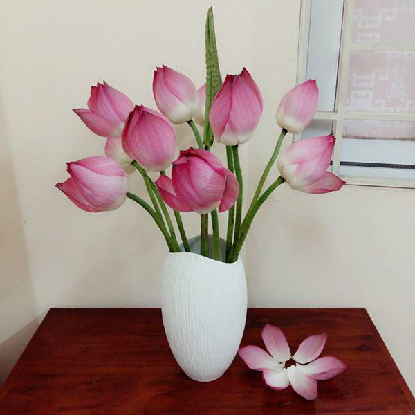 5 loại hoa đẹp bày phòng khách không sớm thì muộn, kiểu gì cũng giàu