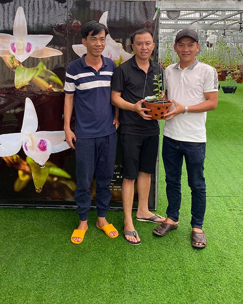 Nguyễn Phú: Chơi lan để thỏa mãn đam mê