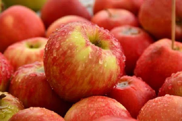 Tưởng táo tây đắt tiền, nhiều dinh dưỡng hơn táo ta: Chuyên gia lý giải đầy bất ngờ