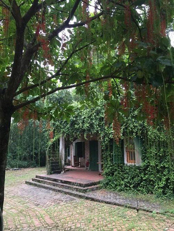 Nhà Celeb: Nghệ sĩ đất Bắc mua nhà vườn nghỉ ngơi, Giang Còi, Quang Tèo chọn nơi nhiều điểm chung