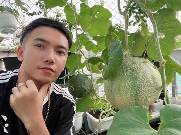 Nhà Celeb: Ca sĩ Phạm Trưởng tốn 100 triệu làm vườn, tự thu hoạch không phải đi mua