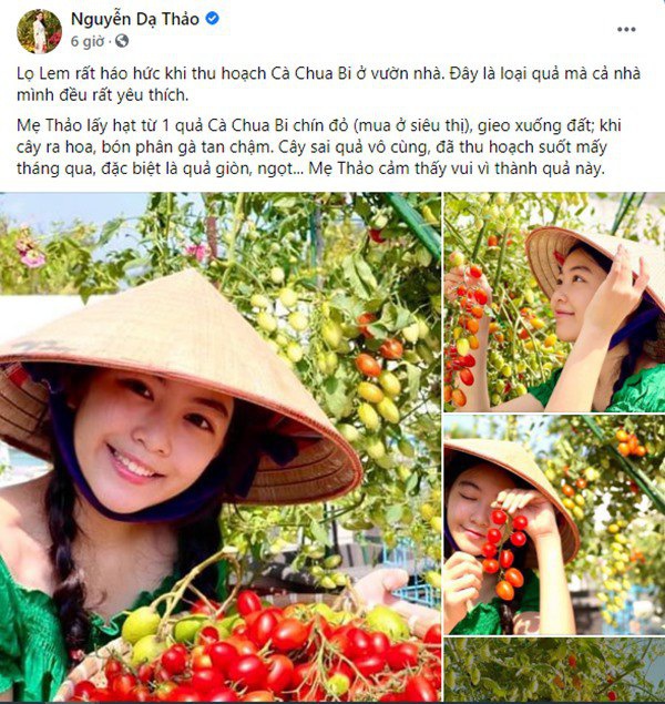 Nhà Celeb: Vợ Quyền Linh bỏ hạt cà chua siêu thị xuống đất, con gái giờ thu hoạch cả mẹt