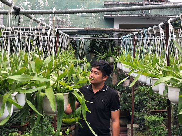 Nguyễn Ngọc Khánh: Nghiên cứu và khởi nghiệp thành công về phòng sinh trưởng cho cây giống