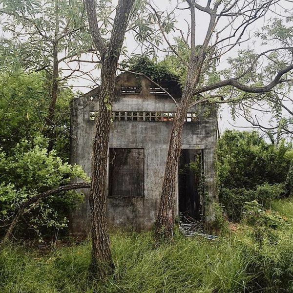 8x Tiền Giang "biến" nhà hoang thành nhà vườn đẹp như cổ tích chỉ với hơn 100 triệu đồng