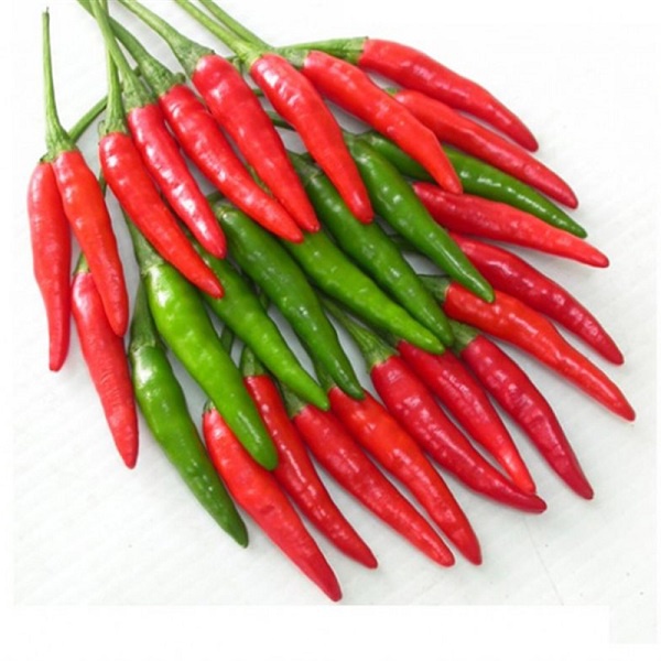 Cách trồng ớt trong chậu tại nhà đơn giản cho trĩu quả quanh năm