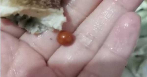 Đang ăn ốc thì nhai phải vật cứng, cô gái "vớ bẫm" khi phát hiện thứ bên trong