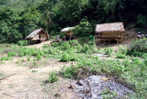 Thảm án giữa rừng khiến 4 người thiệt mạng: Tình tiết lạ đã vô tình tố cáo hung thủ