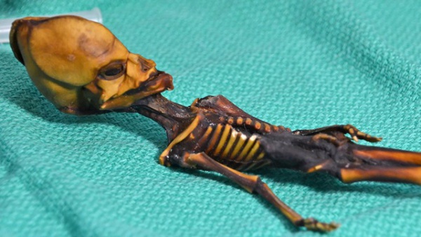 Sự thật bất ngờ về "xác ướp người ngoài hành tinh" chỉ dài 15cm: Là con người