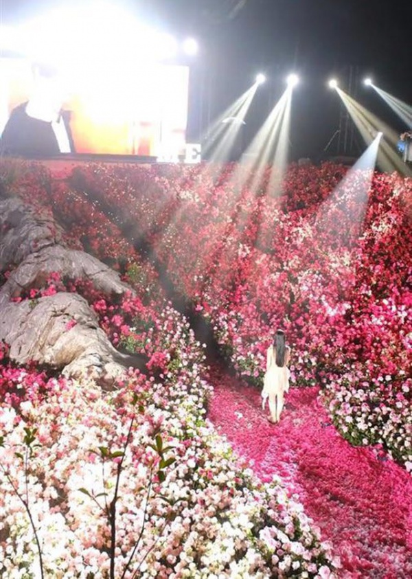 Chàng trai chi 1 tỷ mua 50.000 bông hoa để làm "biển hoa" cầu hôn bạn gái, CDM thán phục