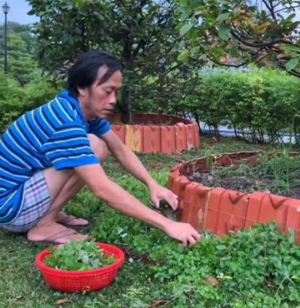 Sao Việt đến tuổi không thích ồn ào về vườn trồng cây, sống như nông dân dù kiếm tiền tỷ