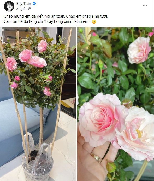 Không chỉ khiến người bán rau củ “hết cửa”, Elly Trần còn được fan tín nhiệm chăm hoa hồng