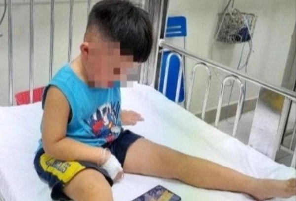 Vụ bé 3 tuổi bị siết cổ, giấu vào tủ cấp đông: Nghẹt thở hành trình cả gia đình giải cứu