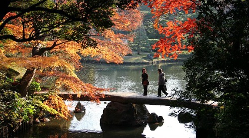 Những điểm đến mùa thu ở Nhật khiến du khách mê mẩn