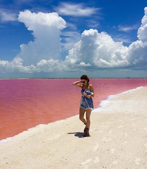 Vẻ đẹp siêu thực của hồ nước hồng có "1-0-2" ở Mexico