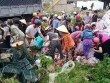 Xe tải chở trái cây bị lật ở Quảng Trị, người dân ùa vào mua giúp