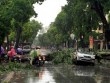 Bão số 3 dự kiến sẽ gây mưa lớn, gió giật mạnh ở Hà Nội