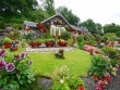 Mê mẩn vườn nhà đẹp như thiên đường của ông cụ 75 tuổi