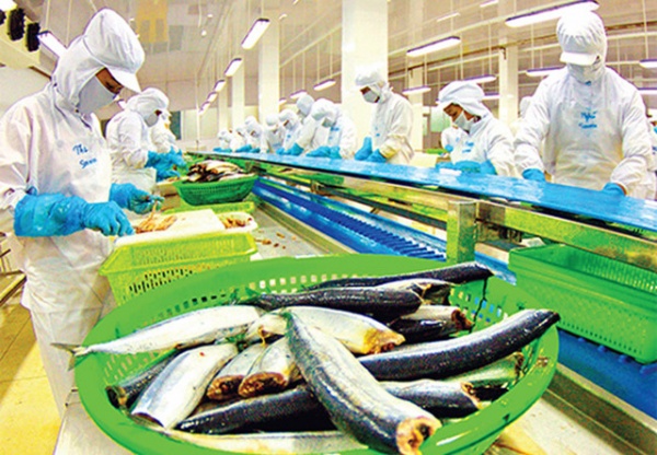 VASEP muốn Formosa “đền” cho doanh nghiệp xuất khẩu thủy sản vì vụ cá chết