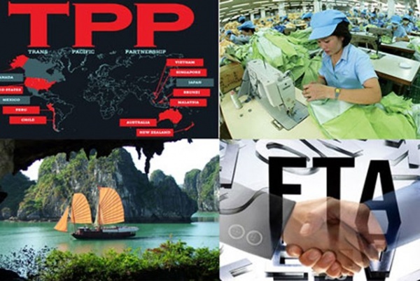 Gần 17% doanh nghiệp Việt không biết gì về TPP