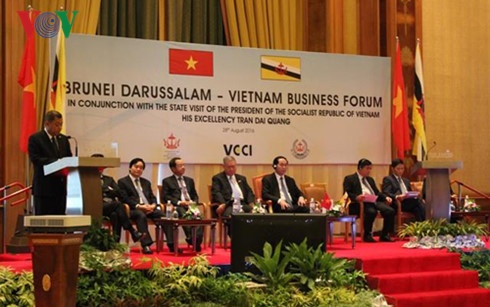 Chủ tịch nước dự Diễn đàn Doanh nghiệp Việt Nam-Brunei