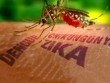 Thêm một quốc gia Đông Nam Á xác nhận có người mắc virus Zika