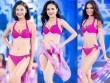 Hoa hậu Việt Nam 2016: 4 người đẹp khiến khán giả ngậm ngùi tiếc nuối nhất