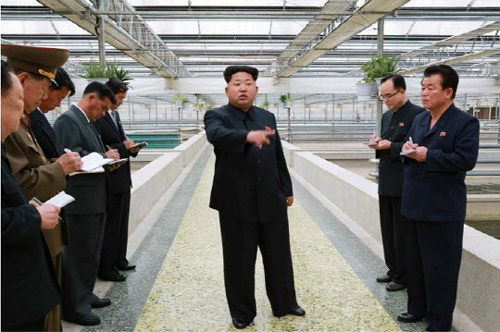 “Ông Kim Jong-un đang dọn dẹp đế chế của người chú rể”